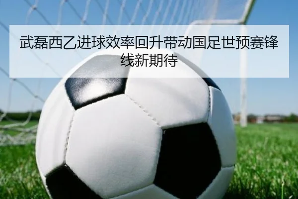 武磊西乙进球效率回升带动国足世预赛锋线新期待