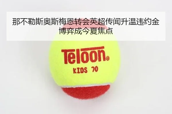 那不勒斯奥斯梅恩转会英超传闻升温违约金博弈成今夏焦点