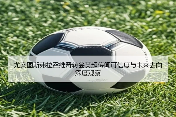 尤文图斯弗拉霍维奇转会英超传闻可信度与未来去向深度观察