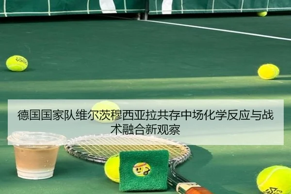 德国国家队维尔茨穆西亚拉共存中场化学反应与战术融合新观察